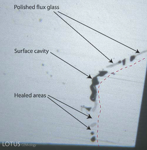Figure 7. Surface of a flux-healed fracture A highly magnified photo showing a single facet&rsquo;s surface in reflected light where a fracture breaks the surface in a flux-healed Mong Hsu ruby. The dotted red line shows the path of what was once an open fracture, displaced slightly to the right so you can see surface detail. The irregular black areas are surface cavities where bubbles in the flux were cut through, while the irregular gray areas are residual flux glass that has been polished. Note the lower luster compared with the surrounding corundum. In between the surface cavities and flux glass are healed areas, indistinguishable from the surrounding corundum. Photo &copy; R.W. Hughes