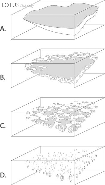 Figure 1. Formation of a fingerprint