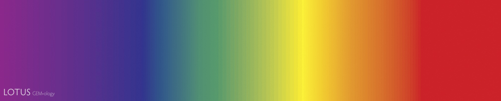 Focus on the Spectroscope