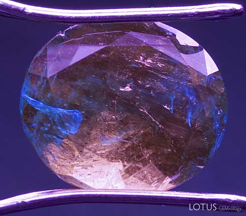 Figure 5. Fluorescent fillers in emerald UV fluorescence can also help identify treatments in emerald. Emeralds are typically enhanced by filling their fissures with oils/resins. Some of these fluoresce. In the photo above, an emerald is exposed to long-wave UV light. The filler in the fissures is clearly identified by its bluish fluorescence. Note that the body color of the stone appears much different under UV light. Photo: Richard W. Hughes; Nikon D70