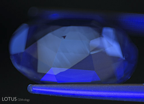 Figure 10. Occasionally we see a chalky green SW fluorescence in untreated natural sapphires, particularly those from Madagascar. This fluorescence tends to be restricted to a thin layer at the surface of the stone and has sharp boundaries, as shown above. The small black triangular area is simply a non-fluorescent zone. Photo: Richard W. Hughes; Nikon D200
