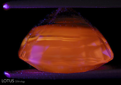 Figure 13. One of the remaining corundum mysteries is the cause of the "apricot" orange fluorescence seen in many sapphires of both blue and yellow color, particularly those from Sri Lanka and Madagascar. This fluorescence may be seen in both LW and SW, with LW always being stronger, and is unaffected by heat treatment. The above stone is an untreated Madagascar blue sapphire in LW, the same stone as shown in Figures 11 and 12. Note that the culet area, which contains the heaviest concentration of blue color, is inert. Photo: Richard W. Hughes; Nikon D200
