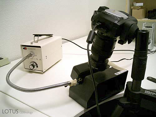 Figure 7. Photographing fluorescence Some photos in this article were taken using the following crude set-up. A stoneholder was taped to a gooseneck arm to hold the stone in place. Photos were shot with a tripod-mounted Nikon D70 digital camera with a Nikon 60mm 2.8 macro lens. Also finding sometime use were two Nikon screw-on close-up lenses, to further increase magnification. Exposures were made in manual mode with a wireless shutter release, with all ambient (room) lights turned off. Exposures ranged from a few seconds to over half a minute. Later, the setup was refined to a tripod-mounted Nikon D200 and the aforementioned 60mm 2.8 macro lens. In a darkened room, with the UV lamp hand-held, some spectacular shots were obtained. Photo: Richard Hughes