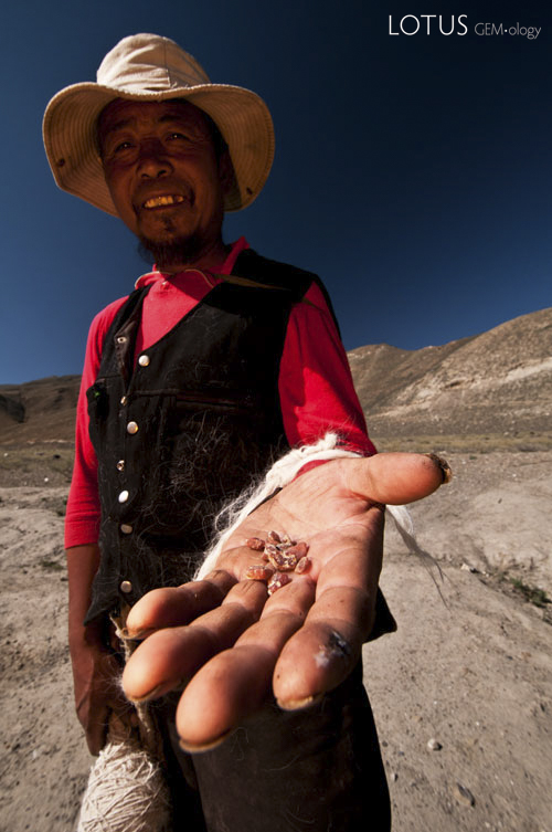 Figure 7.&nbsp;A sheepherder displays a few pieces of andesine he picked up at Lower Yu Lin Gu valley, near Zha Lin village, Tibet. Photo: Richard W. Hughes