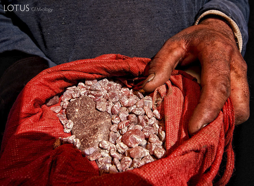 Figure 12. Handful of andesine near Zha Lin village, in Tibet's andesine mining district. Photo: Richard W. Hughes