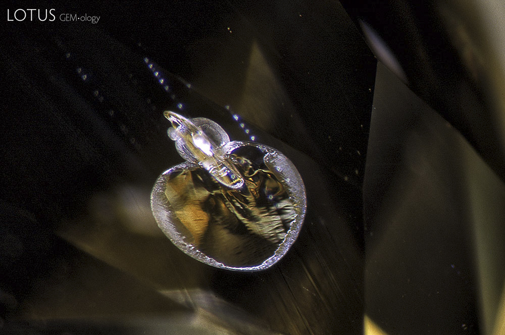 Lotus Gemology: Although relatively small and inconspicuous at roughly 0.01&nbsp;mm. diameter, this heat-treatment damaged crystal with its diagnostic discoid decrepitation halo (also produced by heat treatment) is all the proof needed to destroy the natural reputation of its host yellow sapphire. Photomicrograph &copy; John I. Koivula/microWorld of Gems.