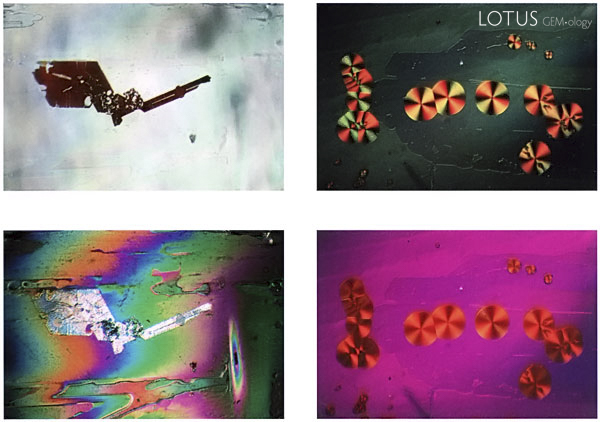 Inclusions in Fluorite Volume 3 of the Photoatlas also covers the inclusions of less popular gems, such as fluorite.