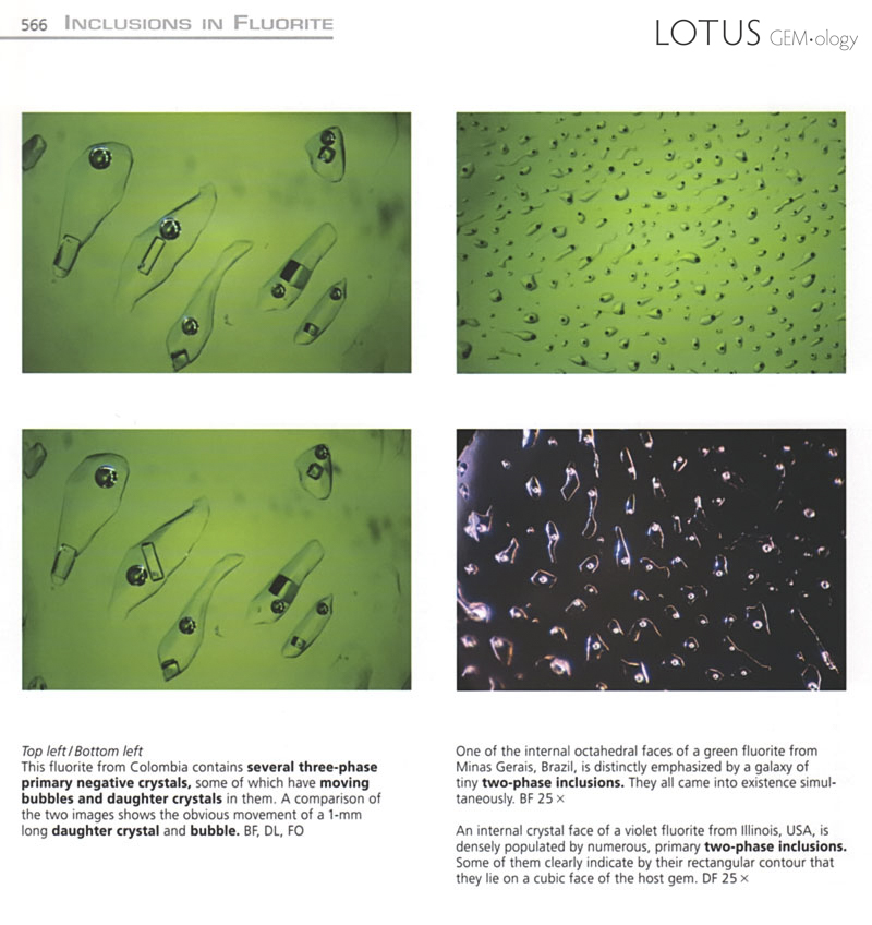 Inclusions in Fluorite Volume 3 of the Photoatlas also covers the inclusions of less popular gems, such as fluorite.