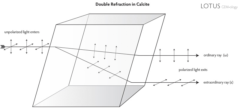 Figure B. Double refraction in calcite When light enters a doubly refractive material in directions not along the optic axis, it is split into two portions, each of which is polarized perpendicular to the other. Each ray may also be absorbed differently, resulting in pleochroism. Illustration: Richard W. Hughes