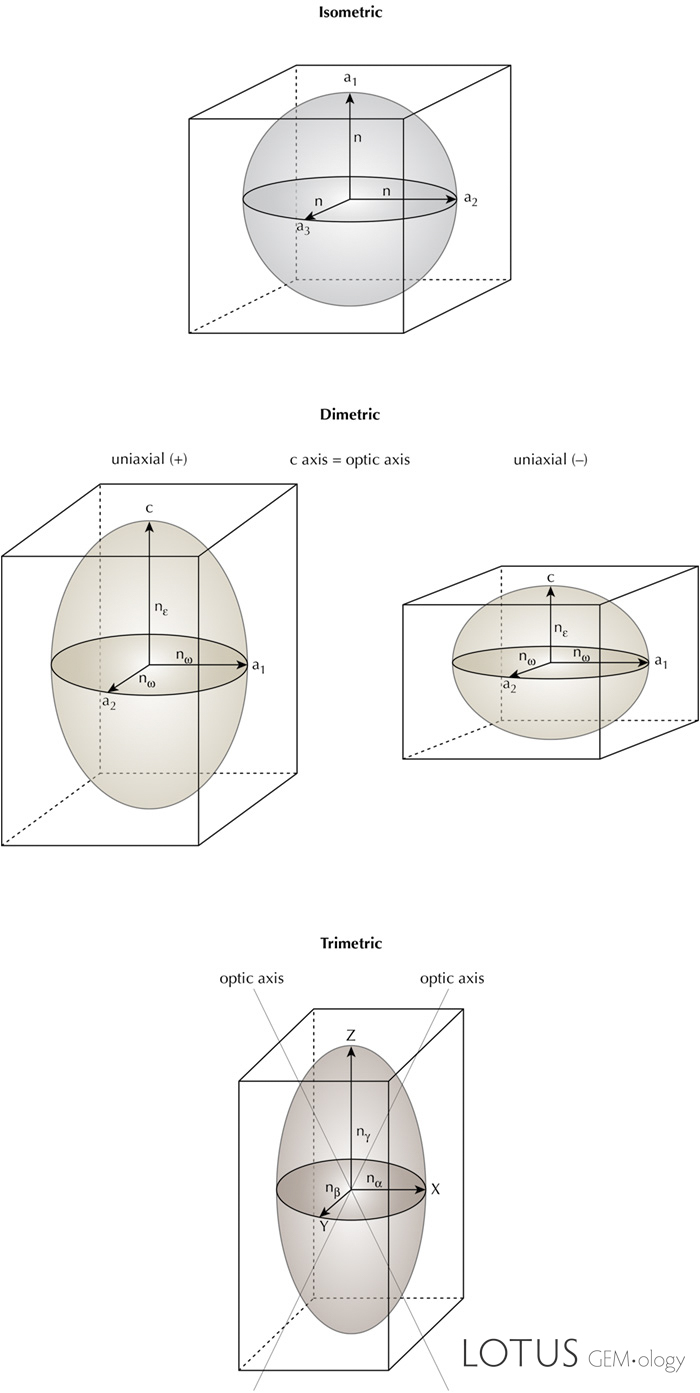 Figure 2. Vibration directions of light waves in crystals. Isometric crystals do not split light and thus display no pleochroism.&nbsp;Uniaxial crystals possess two vibration directions, allowing the possibility of two pleochroic colors (dichroism), while biaxial crystals have three vibration directions and thus the potential to display three pleochroic colors (trichroic). In both uniaxial and biaxial crystals, the major optical directions are always mutually perpendicular, which is not necessarily the case for the crystallographic axes in crystals (only cubic, tetragonal and orthorhombic crystals have exclusively mutually perpendicular crystallographic axes). Illustration by Richard W. Hughes.