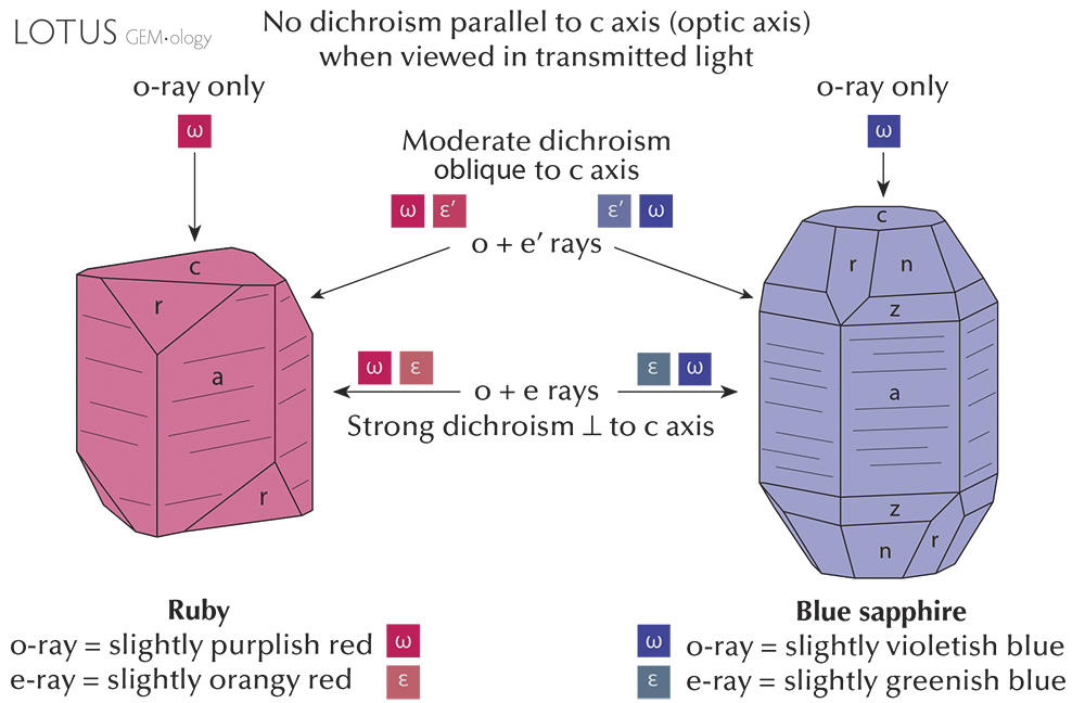 Figure 3. Pleochroism in uniaxial crystals as viewed with the dichroscope, using the example of ruby and sapphire. Illustration: Richard W. Hughes