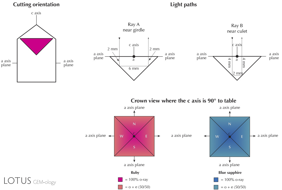 Figure 5. Pleochroism as seen through the crown in ruby and sapphire cut with the table at 90&deg; to the c axis. Note that color variations in figures 5, 6, 8 and 12 are approximate only and designed to show general concepts. Refractive indices and pleochroism vary in logarithmic fashion, while the illustrations were generated showing linear variations. See Hurlbut (1984) for more details. Illustration: Richard W. Hughes