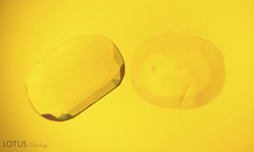 Figure 1. Mellow yellow Two yellow sapphires immersed in di-iodomethane. Yellow stones in a yellow liquid over a yellow light make it extremely difficult to see color zoning. Photo: &copy; Richard W. Hughes