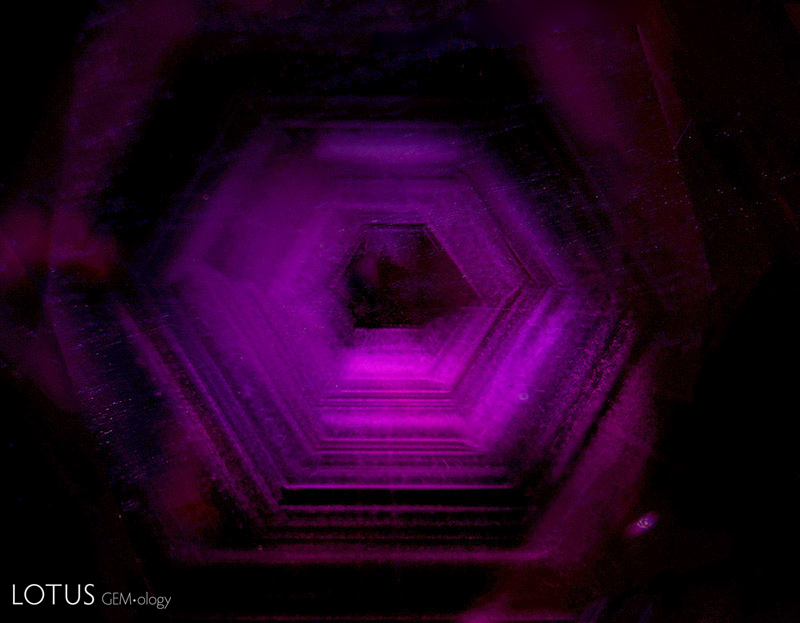 Clouds of rutile silk in Mozambique ruby, forming concentric hexagonal zones when viewed parallel to the c axis.  Photo: Wimon Manorotkul