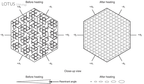 Figure 4. Effects of high-temperature heat treatment on rutile silk in corundum. Left: In corundum, rutile exsolves in three directions in the basal plane, parallel to the faces of the second-order hexagonal prism {1120}. Before heating, rutile silk consists of needles which, when highly magnified, are often tiny arrow- or dart-shaped twins with small reentrant angles at the wide end. The rutile needles are extremely thin in cross-section and are generally flattened in the basal plane. Overhead fiber-optic illumination with the microscope will reveal such details. Right: High-temperature heat treatment causes rutile to be partially dissolved into the corundum, but traces often remain behind, visible with fiber-optic lighting. Each needle, rather than coalescing into one globule, instead dissolves into a series of tiny droplets arranged in the same pattern as before heating. This partially-dissolved silk may be indicative of heat treatment. However, minute exsolved particles, which can occur naturally, may be confused with the partially-dissolved silk of heated gems. The presence of long needles and dart- and arrow-shaped rutile is a strong indication that the gem has not undergone high-temperature heat treatment. Illustration: Richard W. Hughes