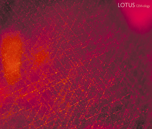 Figure 5. Canary in a coal mine. When a ruby or sapphire is heat treated at a high temperature, rutile silk is partially resorbed into the crystal, thus clarifying it. But rutile is rarely completely pure. The more impurities present, the more visible the silk "skeletons" following treatment, as shown above. Thus rutile acts as an internal thermometer in the gem, letting us know when Man is trying to play God. Photo: Richard W. Hughes