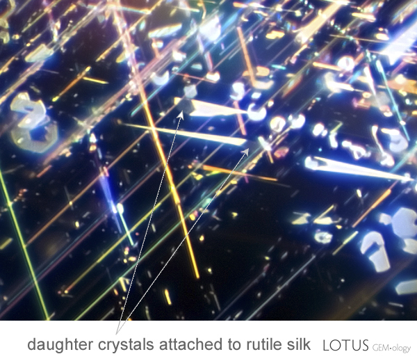 High magnification reveals that well-formed rutile silk generally has tiny daughter crystals growing at the broad ends. Untreated blue sapphire. Photo: Richard W. Hughes