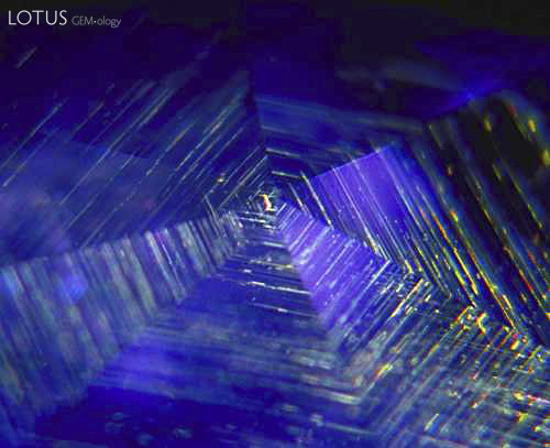 Gossamer&hellip; A rutile silk spider&rsquo;s web spun beneath the facets of an untreated Sri Lankan sapphire. Photo: Richard W. Hughes, Lotus Gemology.