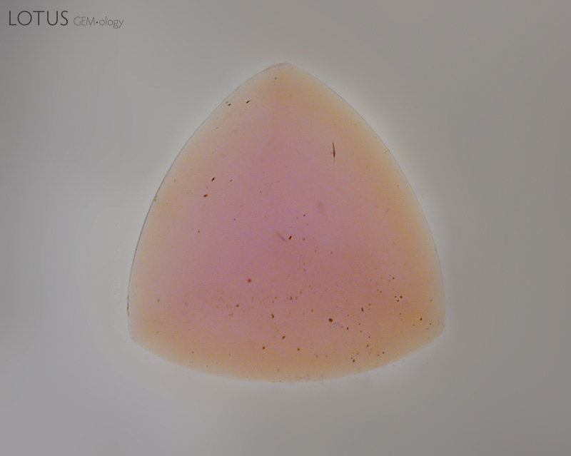 No, this gem does not come from the "trillion" mine, but is a Madagascar pink sapphire with an orange color rim created by surface diffusion. The gem is immersed in di-iodomethane. Note that recutting such stones will produce a loss of the orange color.