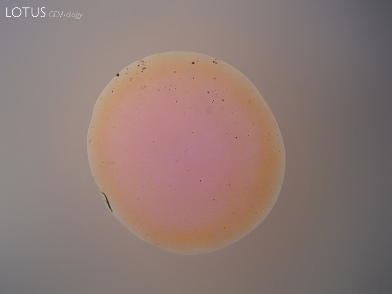 Orange rim surrounding a pink core in a surface-diffusion treated orange sapphire from Madagascar. The color rim is visible when the gem is immersed in di-iodomethane and is evidence of a treatment applied after cutting. Note that recutting such stones will produce a loss of the orange color.