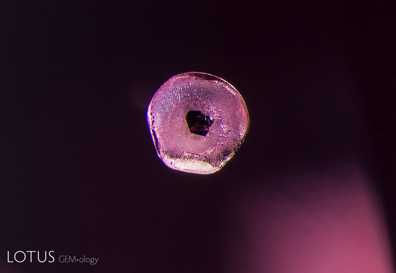 This “belly button” apatite crystal is a classic inclusion in spinel. The black belly button is a crystal of either ilmenite or graphite on the surface of the rounded apatite crystal. These are common features of spinels from both Myanmar and Sri Lanka.
