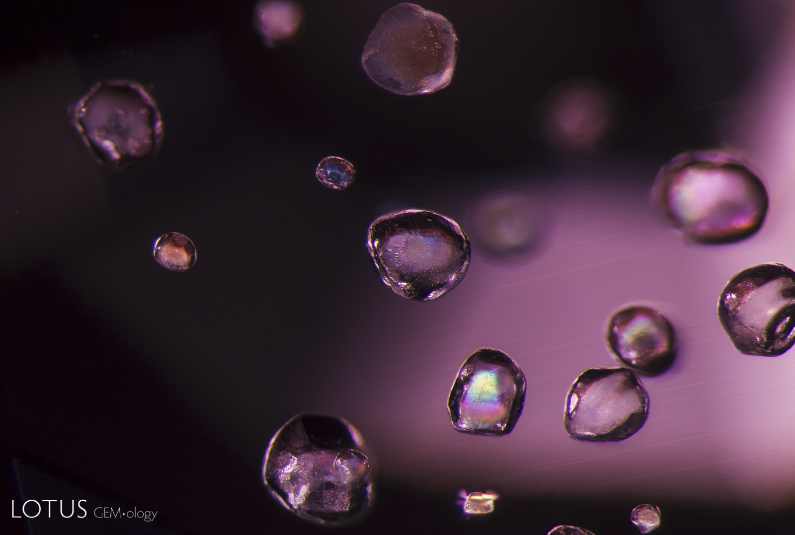 Transparent birefringent crystals of apatite in spinel a spinel from Myanmar with "belly button" spots under crossed polars.