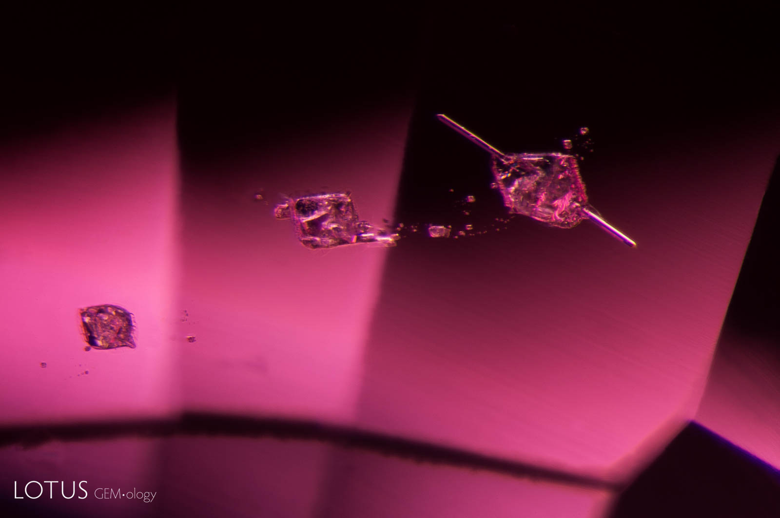 Like a piece of meat on a satay stick, an apatite crystal rod (identified via Lotus Gemology’s micro Raman) pierces a spinel crystal in spinel; Field of view: ~2 mm.