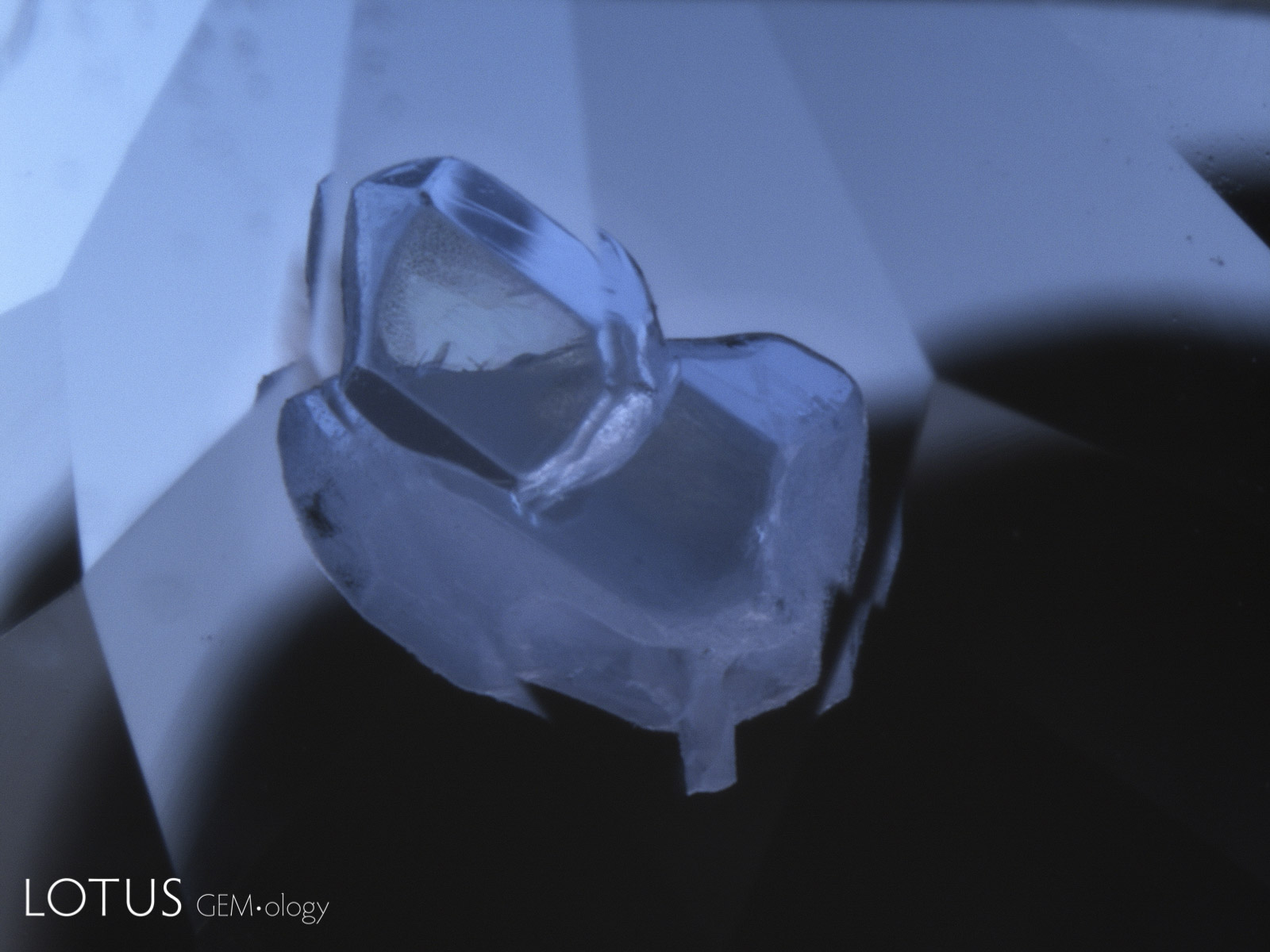 True love: Quartz hugging apatite in a Sri Lankan cobalt-blue spinel; Field of view: ~5.1 mm.