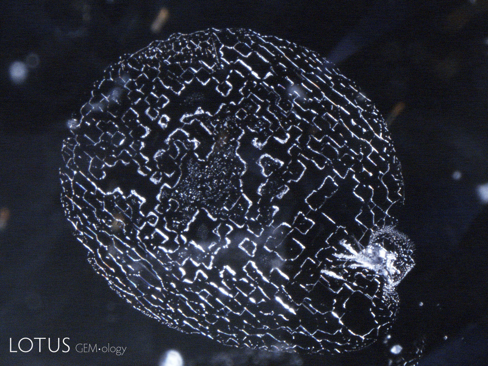 A prominent, intricate fingerprint pattern consisting of interconnected communication tubes extending from a mineral inclusion nucleus serves to confirm that this Sri Lankan spinel is natural. The form taken by the tubes reveals the isometric symmetry of the underlying spinel. 5X