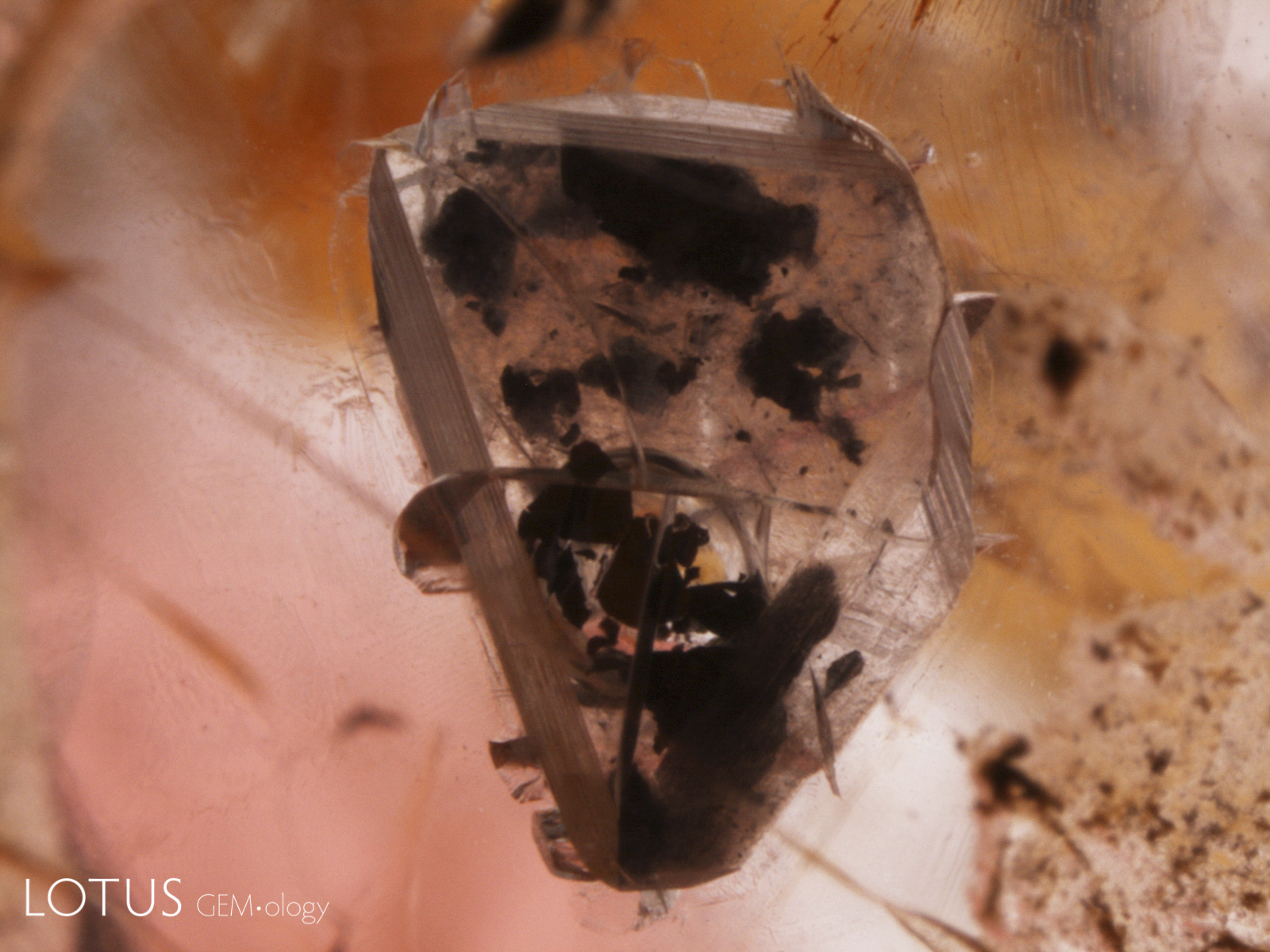 Comparing this image to the previous one clearly shows that the contents in the 3-phase inclusion are free to move about in the void. Field of view: 5.8 mm