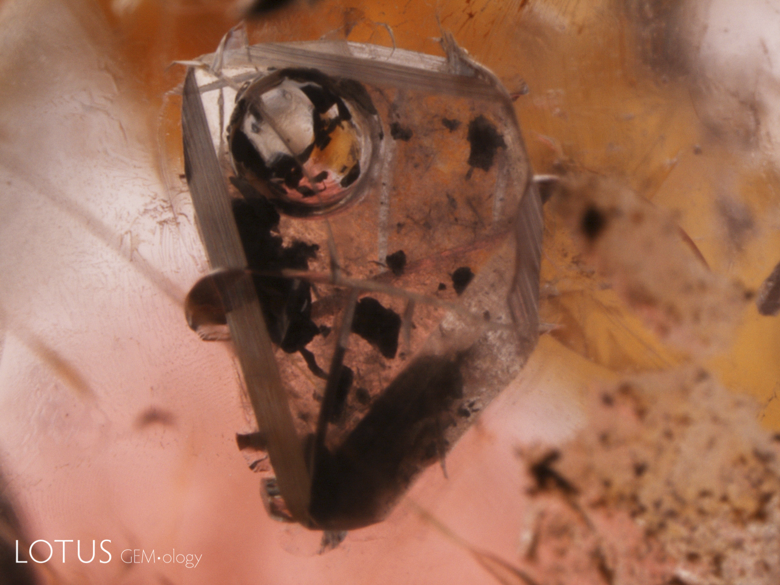 This large void in a Sri Lankan spinel contains a liquid and a gas bubble as well as opaque black graphite flakes. Field of view: 5.8 mm.