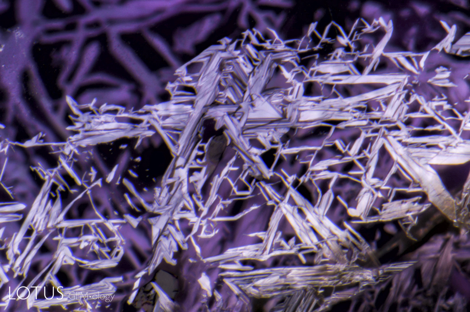 Reflecting light, skeletal crystals of syngenetic titanite (sphene) cause aventurescence in a host spinel from Sri Lanka.