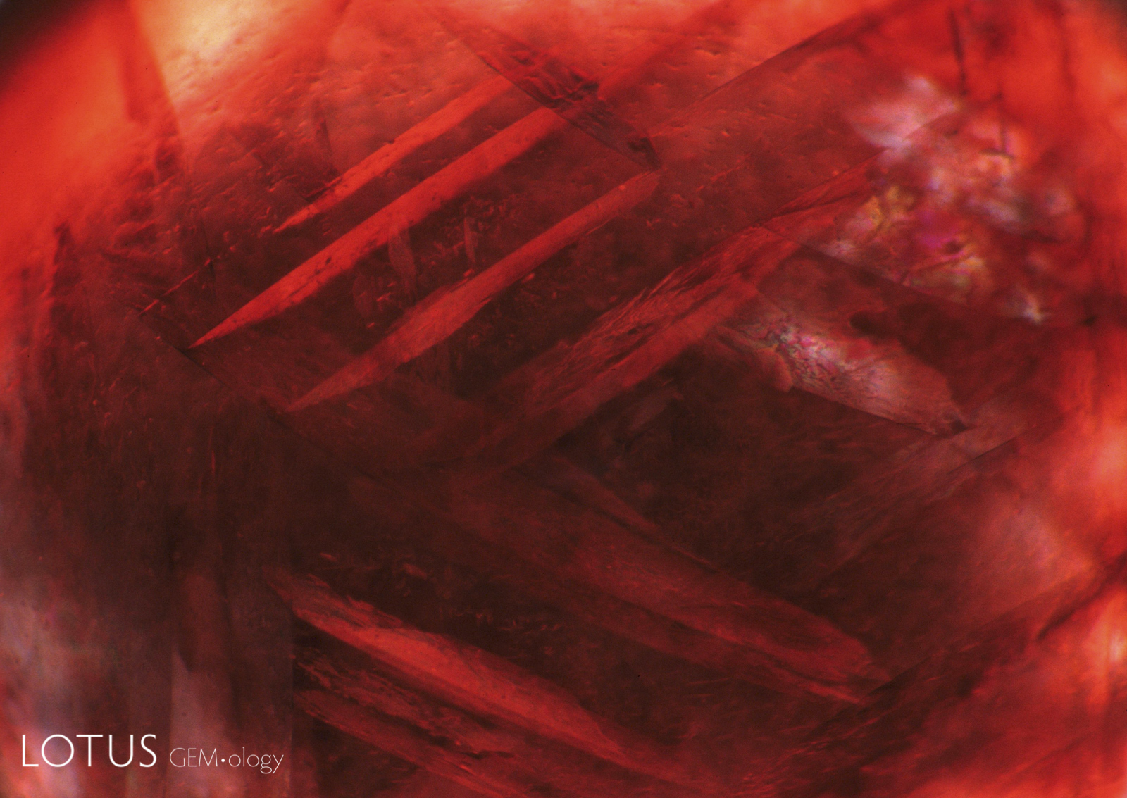Color-causing sheets of hematite are oriented along octahedral planes in this spinel from Sri Lanka. Field of view: 5.0 mm.