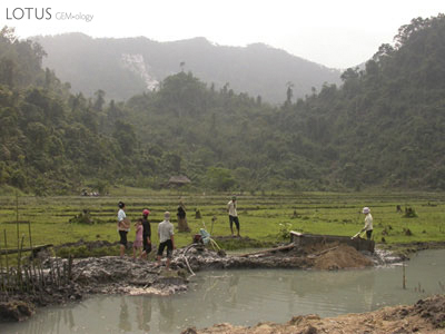 Spinel and ruby mining in rice fields near An Phu village, Luc Yen region, Vietnam. In the background are white marble cliff where spinels are also mined. Luc Yen Vietnam. Photo: V. Pardieu, 2005.