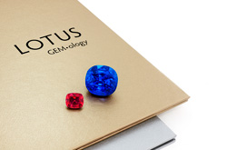 Lotus Gemology report lookup guide