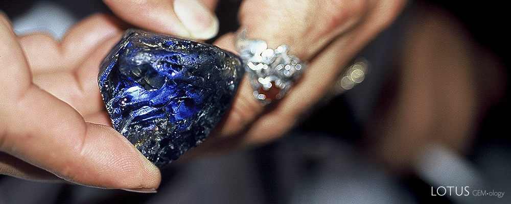 Burmese Sapphire Giants