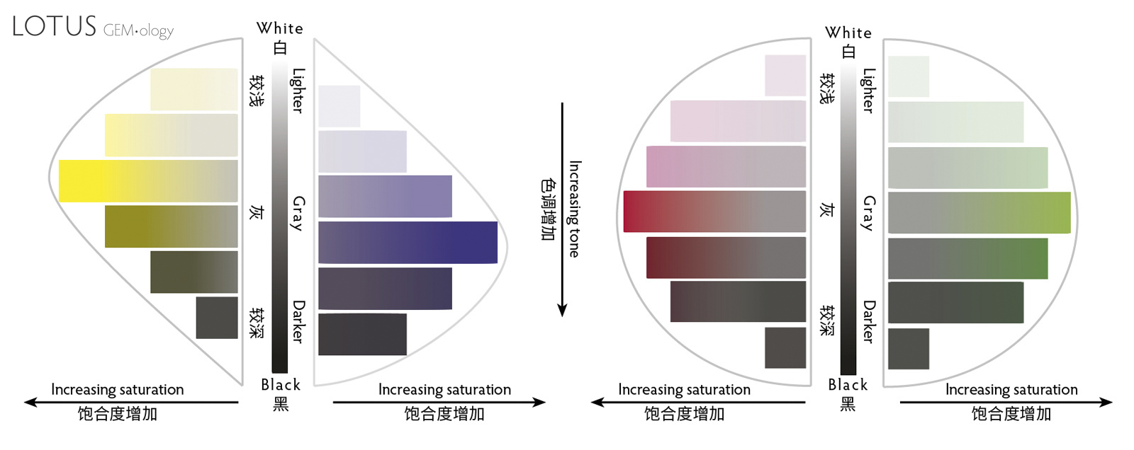Vertical slices through the color solid along the yellow-violet and green-red axes. Saturation increases horizontally from the center, while lightness/darkness varies along the vertical axis. Note that the highest saturation of yellow is naturally much lighter than that for violet, while the highest saturations of red and green share a similar lightness.