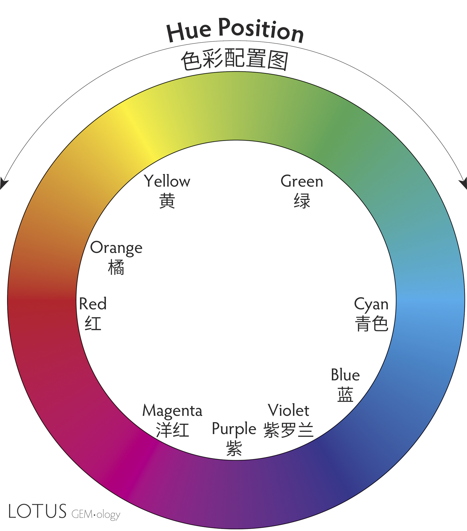 The color wheel, showing the various hues arranged around the circle.
