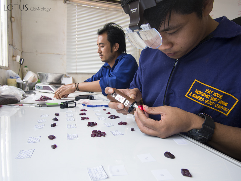 When grading gems, viewing geometry, background and controlled lighting are crucial. Here we see Burmese staff sorting rough at Gemfields&rsquo; Montepuez ruby mines. Although it is not consistent, natural daylight is still superior to all other light sources, because windows provide lots of lux and a large, diffuse radiating surface. The closest artificial equivalent is a xenon short arc source. While we use these in microscopy at Lotus Gemology, a unit for color grading has still yet to be developed. Photo: E. Billie Hughes, 2015