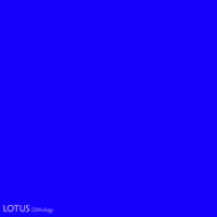 In English, both of the colors above would be described as blue. But in the Thai language, blue is subdivided into two categories. That at left would be see fah (สีฟ้า), while that at right would be see num ngun (สีน้ำเงิน). In English we subdivide red in an identical fashion, with deeper shades called "red," while lighter shades are called "pink." This has created the problem of where to draw the line between ruby and pink sapphire.