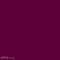 Which of the above colors is more purple? Surprisingly, the answer is neither. Both have identical hue positions, differing only in saturation and tone.