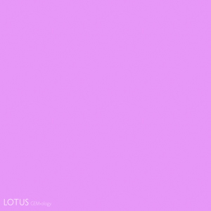 Which of the colors at left is pink? According to the Methuen Handbook of Colour, the sample at right is pink, while the left sample is a purplish red. This illustrates how the line between one color and another is often extremely subjective.