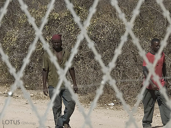 Not unlike the fence that separates Tijuana from San Diego, razor wire divides the different mining blocks at Merelani. And just like the US-Mexico border, there are repeated signs of breaches as those from the Third World claw their way towards the First. Photo: Richard W. Hughes