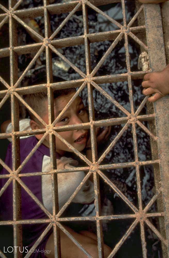 A Thai boy searches the drains of Bo Rai town in the quest for rubies. Photo: Olivier Galibert
