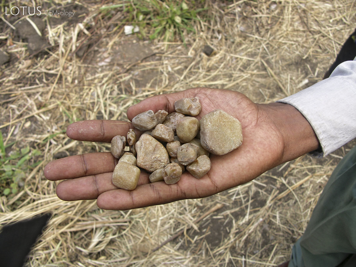 Corundum crystals from a deposit near Mbuyini, outside of Morogoro. Photo: Vincent Pardieu