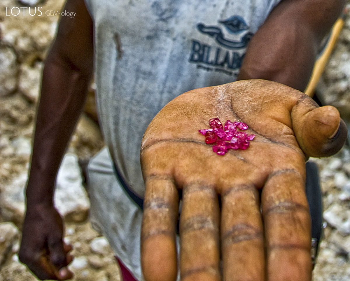 The fruit of excruciating labor, a handful of fine red spinels from Ipanko, near Mahenge. Photo: Richard W. Hughes