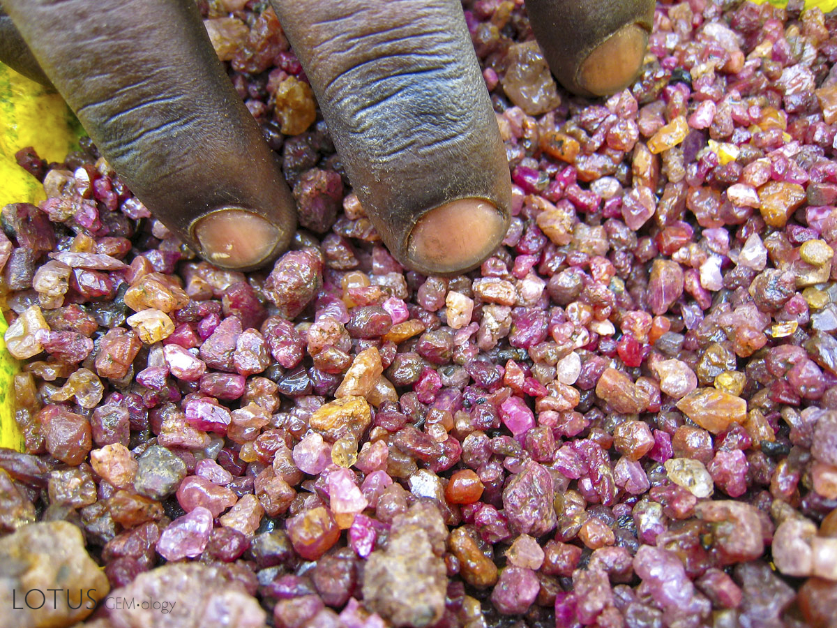 Rubies from Lukande, near Mahenge. Photo: Richard W. Hughes