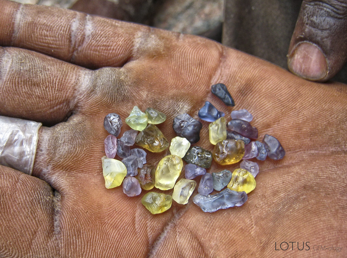 A handful of hope in Tanzania's Tunduru district. Photo: Richard W. Hughes