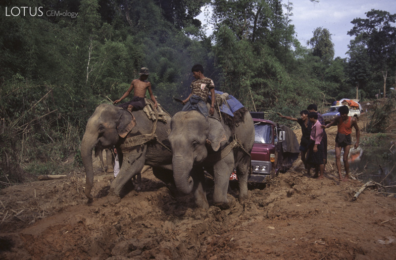 Just add water In the dry season, the Hopin-Hpakan road is relatively benign, but a bit of rain turns this into an impassible obstacle (see inset for the exact same spot in the rainy season). Inset: Andy Kaufman's paradise Elephants shriek and strain to pull a stranded truck from the mire of the Hopin-Hpakan road during the rainy season.