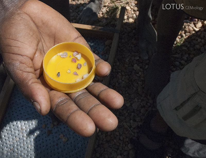 Handful of gem rough near Ilakaka, Madagascar. A family worked several days for these meager finds, illustrating just how rare fine gems are. Photo &copy; Richard W. Hughes.